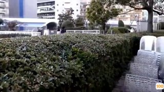 最新更新 日韩欧美在线综合_欧美精品视频二区在线18🈲